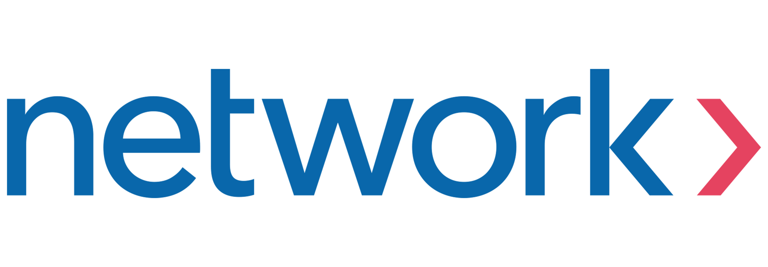 Network_Logo Fintech Summit Middle East